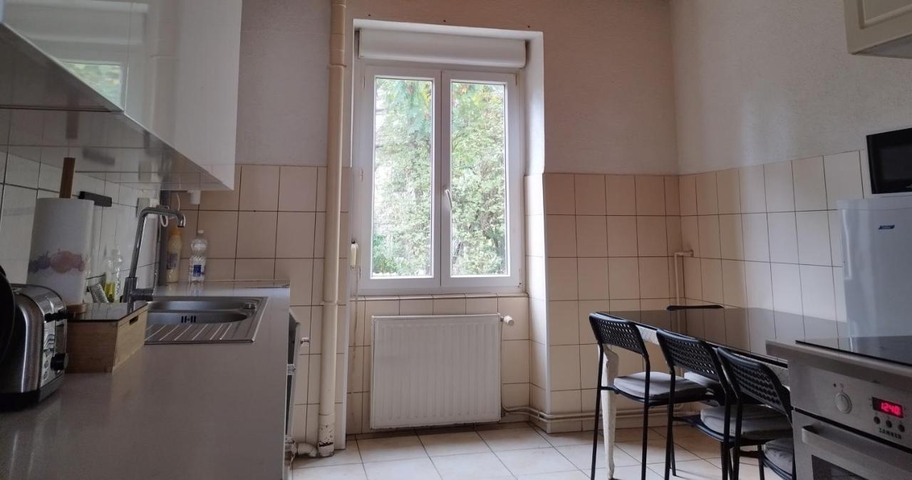 Le Thannois - Appartement 2 Chambres, Salon, Cuisine Equipee, Parking Et Wifi Gratuit Мюлуз Екстериор снимка