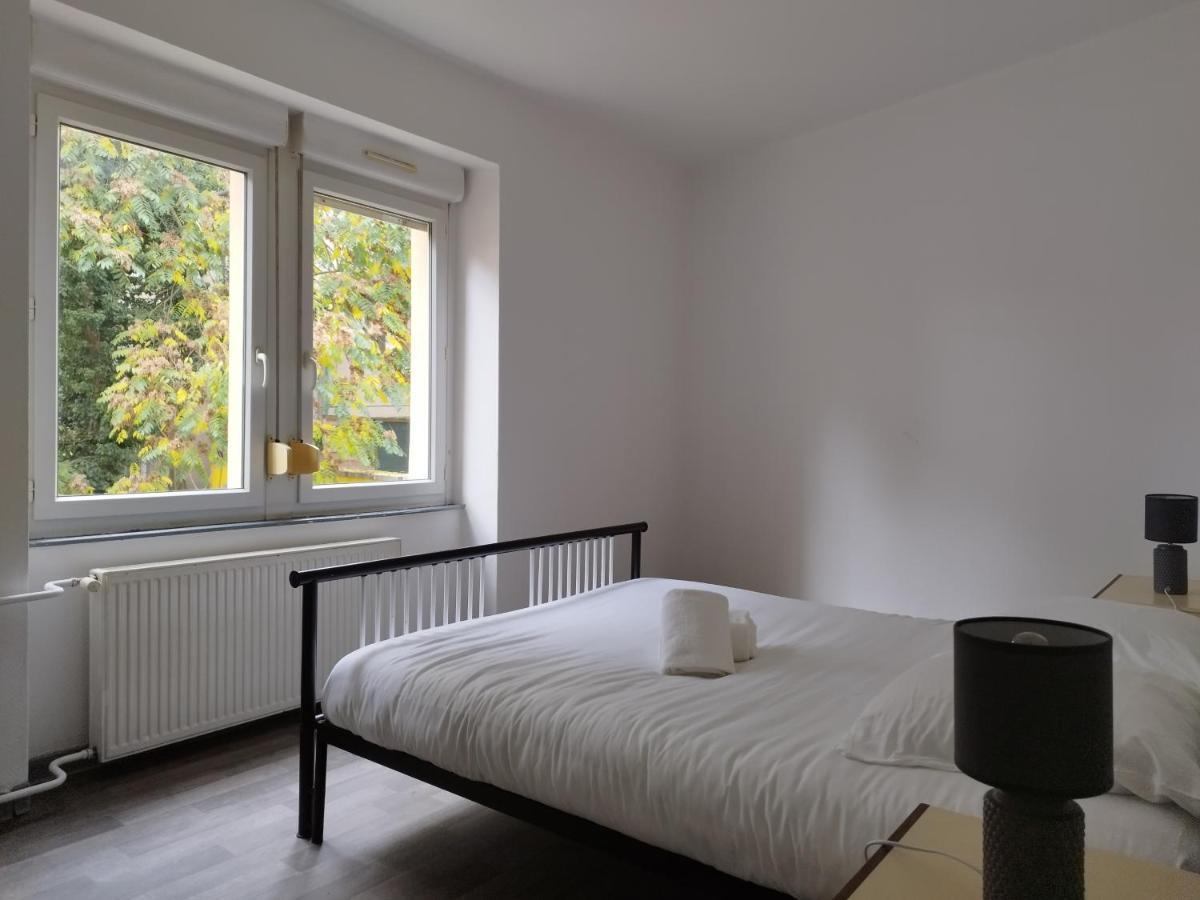 Le Thannois - Appartement 2 Chambres, Salon, Cuisine Equipee, Parking Et Wifi Gratuit Мюлуз Екстериор снимка