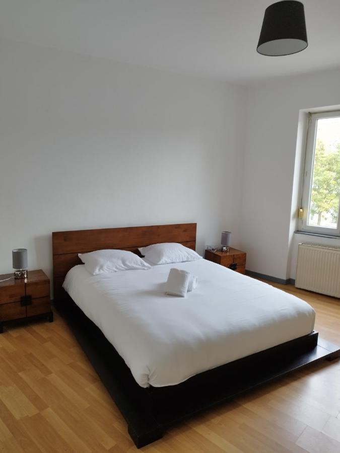 Le Thannois - Appartement 2 Chambres, Salon, Cuisine Equipee, Parking Et Wifi Gratuit Мюлуз Екстериор снимка